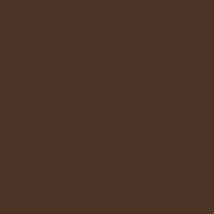 Dana High-Rise Briefs Coffee Kids RTW - Image 4