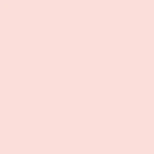 Alana Powder Pink Velvet Leotard RTW - Image 6