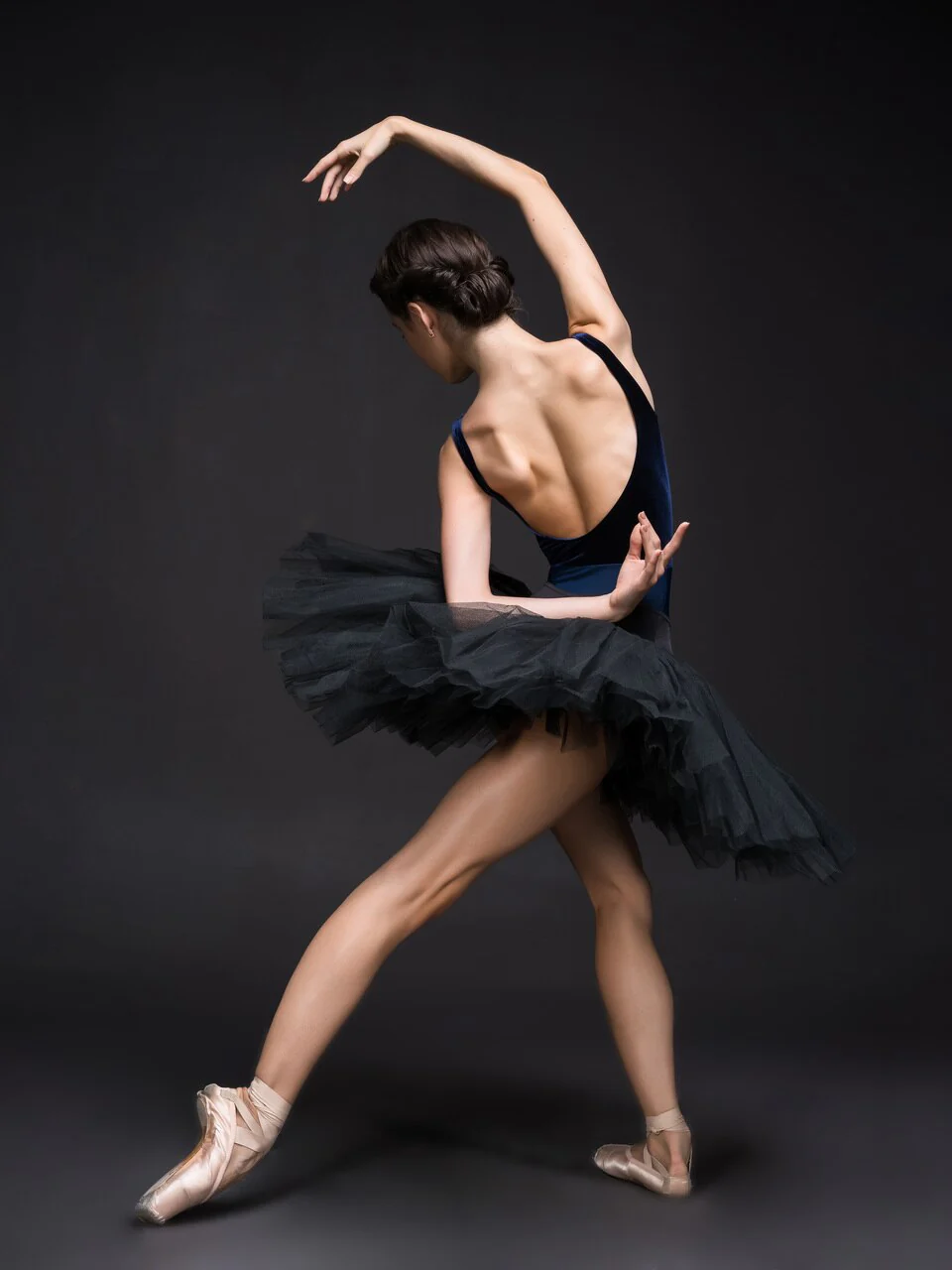 Allison Dark Navy Velvet Leotard RTW - Image 10