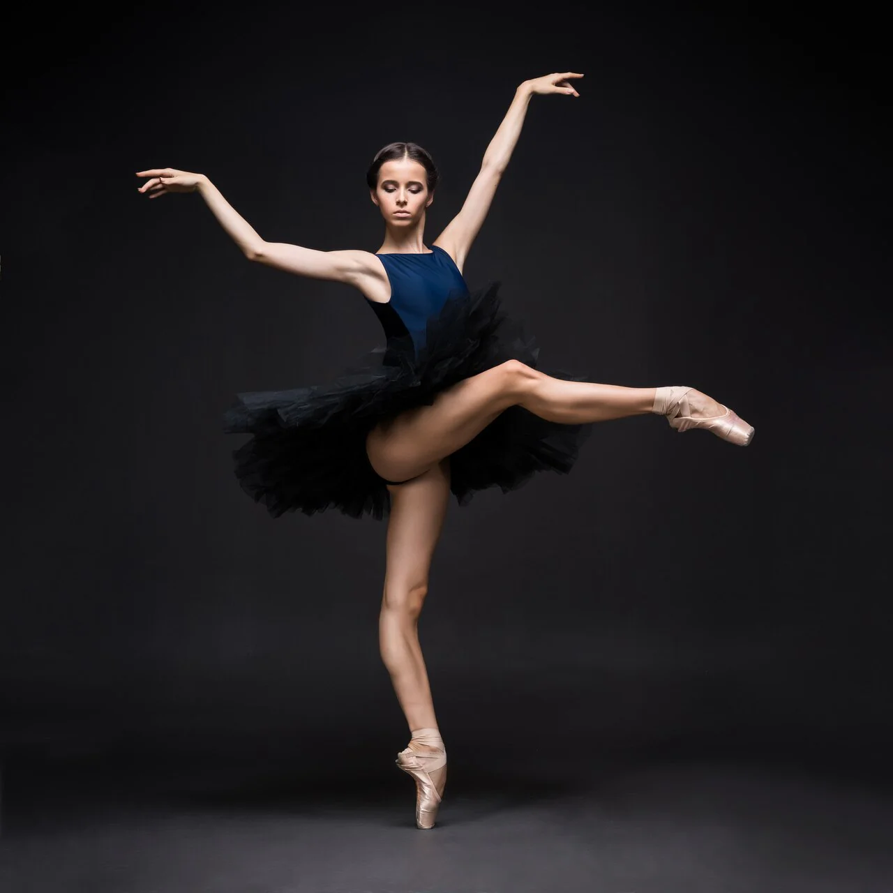 Allison Dark Navy Velvet Leotard RTW - Image 9