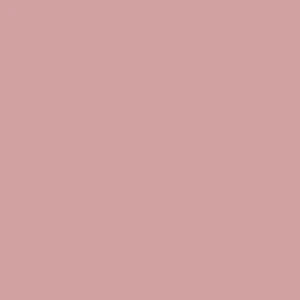 Allison Dusty Rose Velvet Kids Leotard RTW - Image 4
