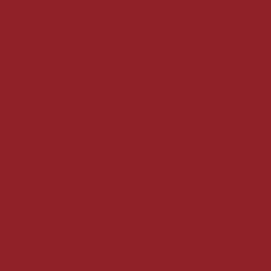 Allison Kids Vampire Velvet Leotard RTW - Image 10