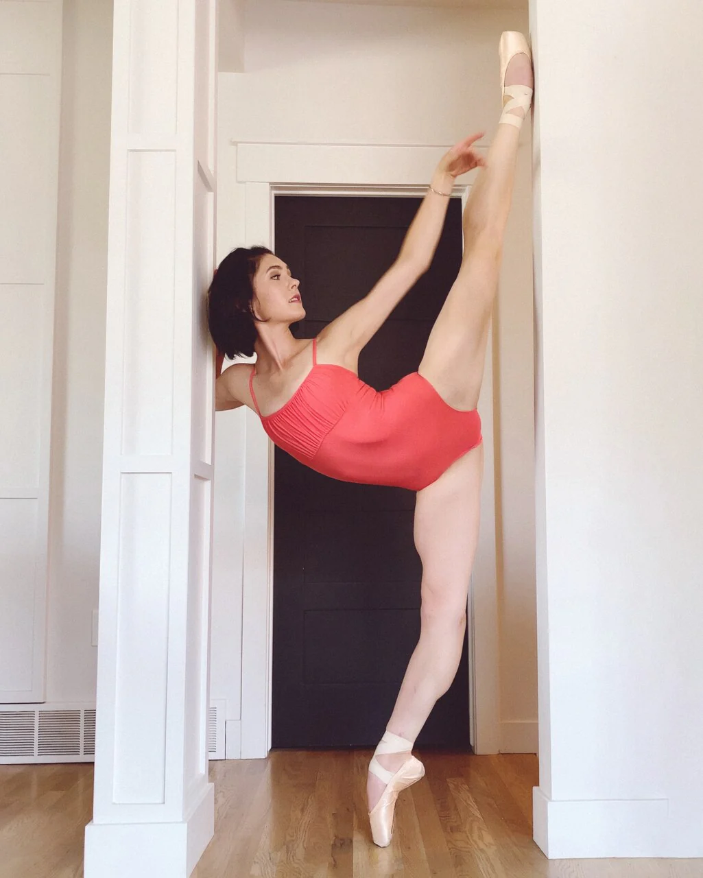 Cassandra Custom Leotard - Image 9