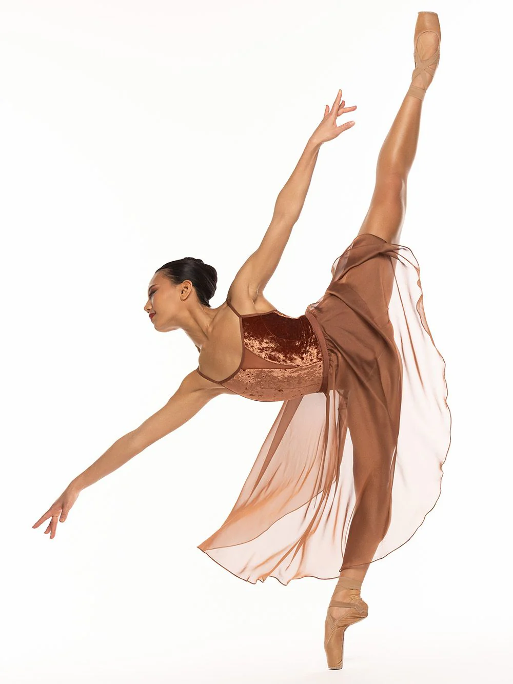 Chloe Leotard Spice Crushed Velvet RTW - Image 5
