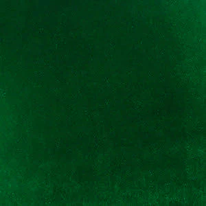 Jackie Evergreen Velvet Leotard Kids RTW - Image 12