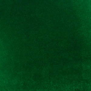 Jackie Evergreen Velvet Leotard RTW - Image 11