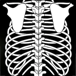 Logan Biketard X-Ray RTW - Image 4