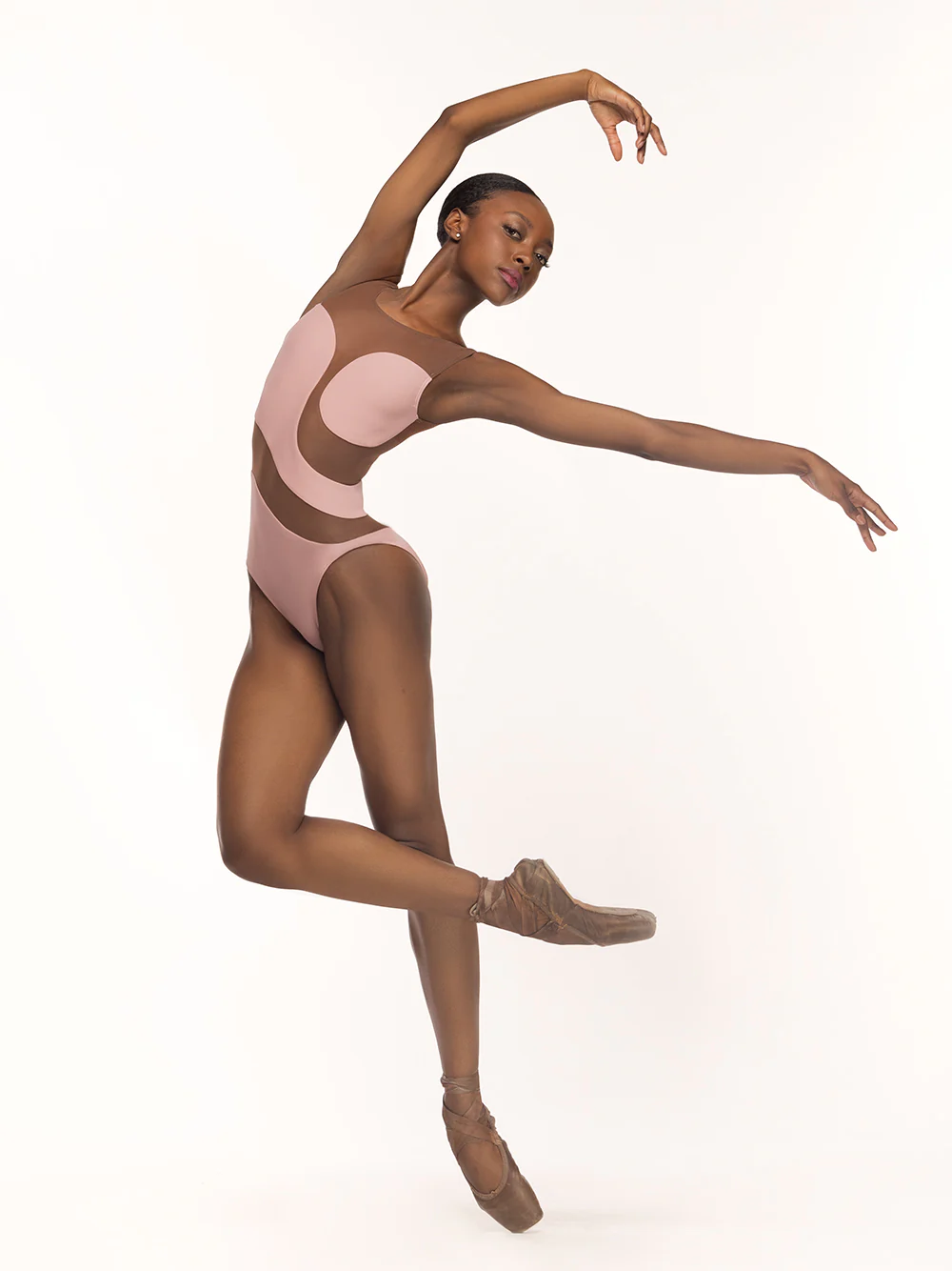 Lunata Leotard Rose Mocha Mesh Kids RTW