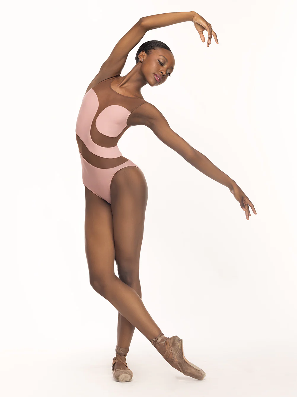 Lunata Leotard Rose Mocha Mesh RTW