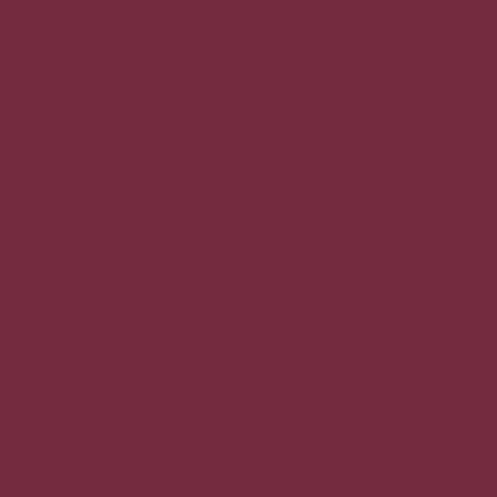 Mackenzie Leotard Wine RTW - Image 5
