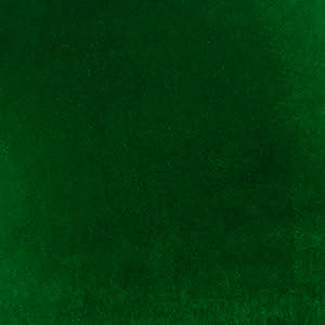Molly Evergreen Velvet Leotard RTW - Image 9