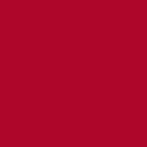 Rosette Leotard Ruby RTW - Image 9
