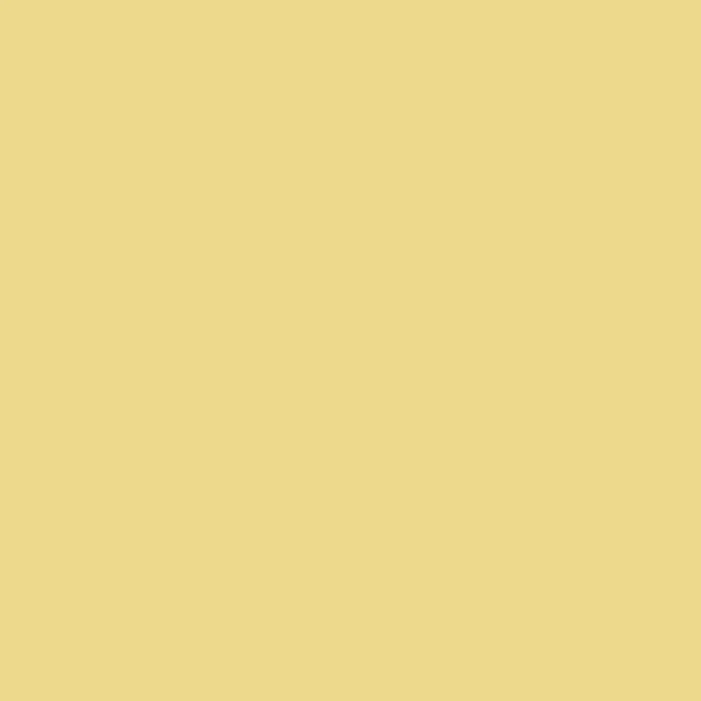 Rosette Leotard Sunshine RTW - Image 7