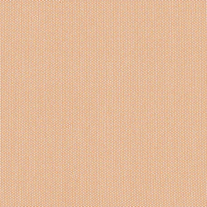 Tulip Skirt Honey Beige Mesh RTW - Image 4
